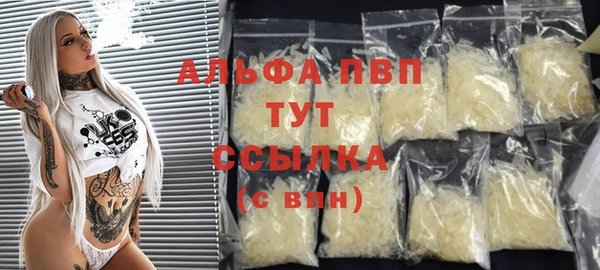 молекула духа Медвежьегорск