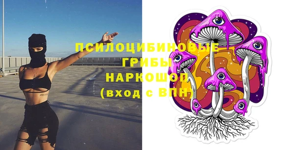 стаф Мегион