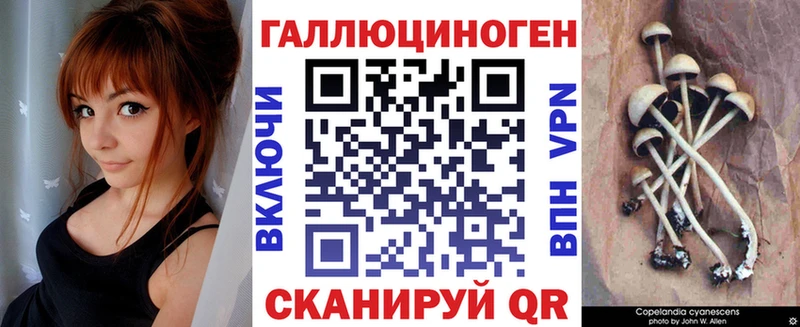 где купить наркотик  Фокино  Псилоцибиновые грибы GOLDEN TEACHER 